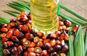 olio palma