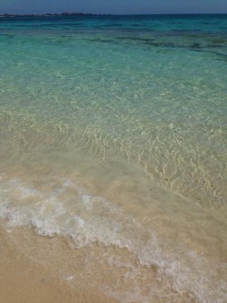 fuerte 1