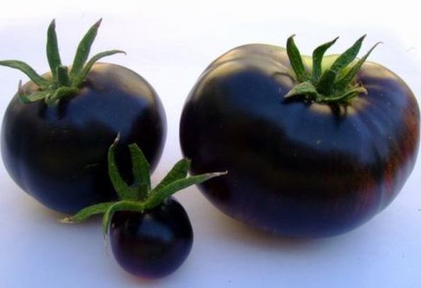 pomodoro nero