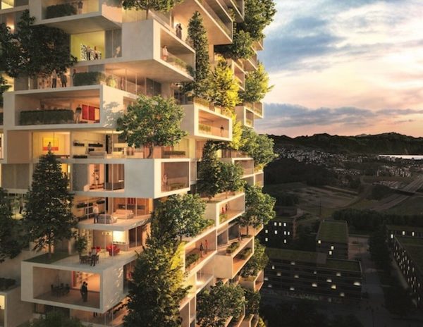 giardini-verticali
